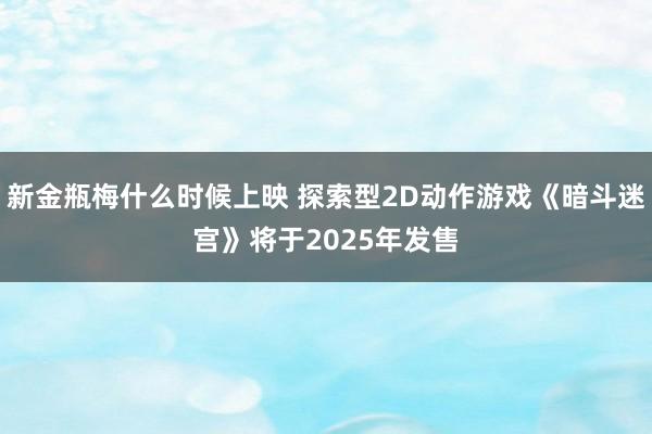 新金瓶梅什么时候上映 探索型2D动作游戏《暗斗迷宫》将于2025年发售