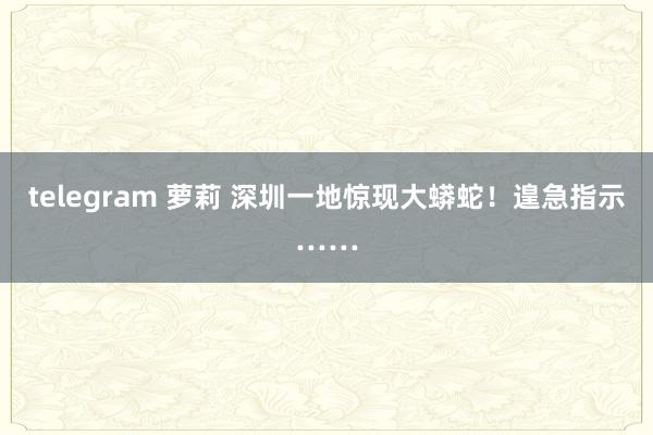 telegram 萝莉 深圳一地惊现大蟒蛇！遑急指示……