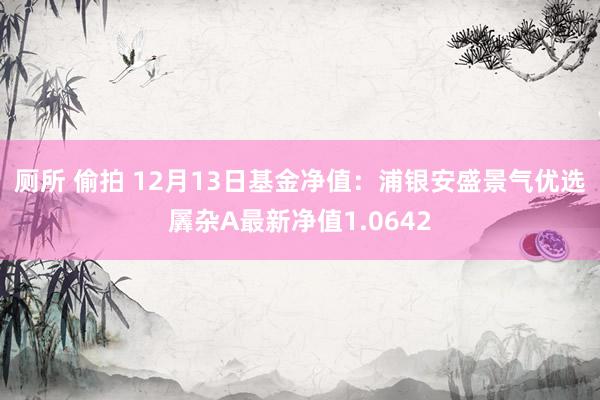 厕所 偷拍 12月13日基金净值：浦银安盛景气优选羼杂A最新净值1.0642