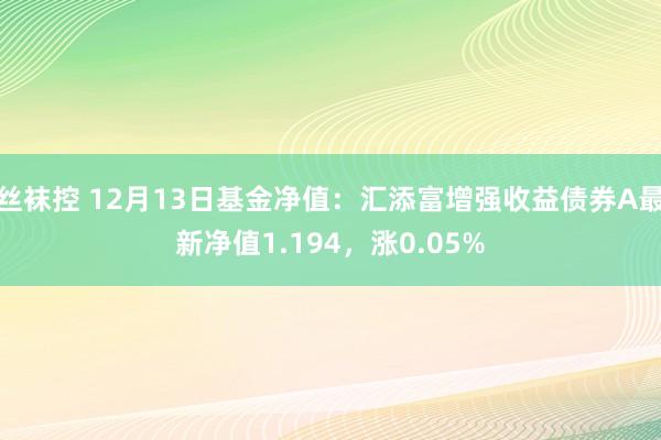 丝袜控 12月13日基金净值：汇添富增强收益债券A最新净值1.194，涨0.05%