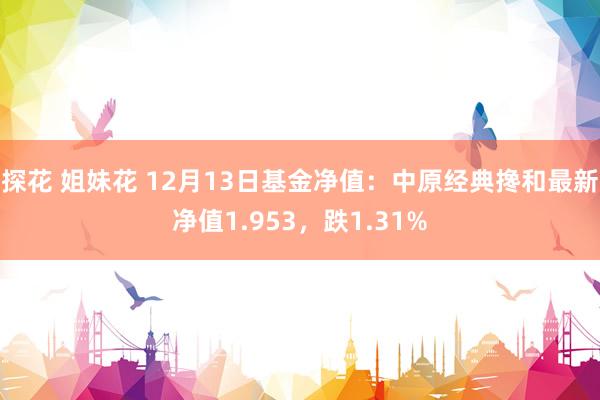 探花 姐妹花 12月13日基金净值：中原经典搀和最新净值1.953，跌1.31%