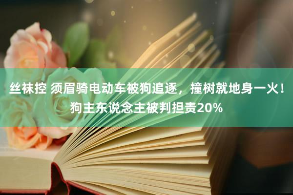 丝袜控 须眉骑电动车被狗追逐，撞树就地身一火！狗主东说念主被判担责20%