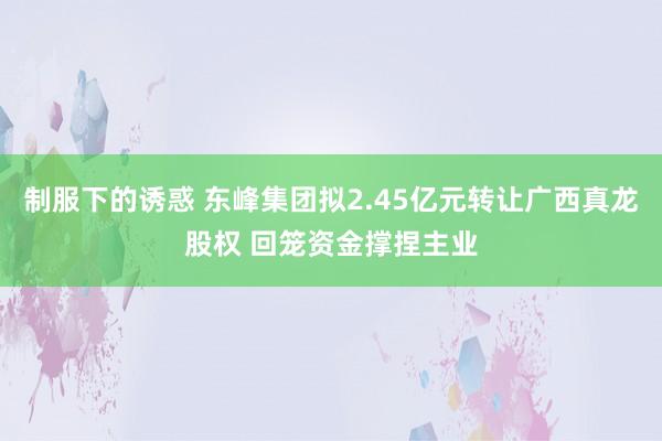 制服下的诱惑 东峰集团拟2.45亿元转让广西真龙股权 回笼资金撑捏主业