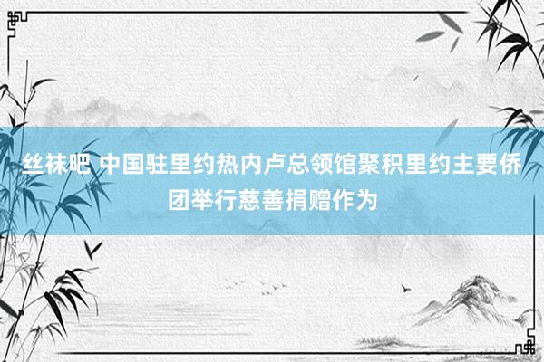 丝袜吧 中国驻里约热内卢总领馆聚积里约主要侨团举行慈善捐赠作为