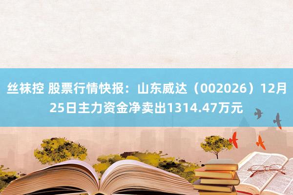 丝袜控 股票行情快报：山东威达（002026）12月25日主力资金净卖出1314.47万元