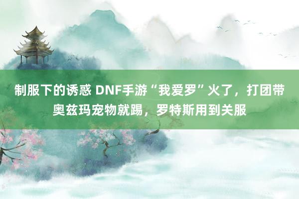 制服下的诱惑 DNF手游“我爱罗”火了，打团带奥兹玛宠物就踢，罗特斯用到关服