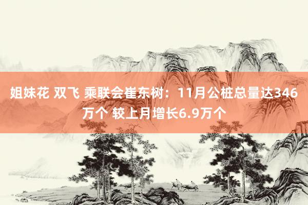 姐妹花 双飞 乘联会崔东树：11月公桩总量达346万个 较上月增长6.9万个