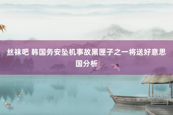 丝袜吧 韩国务安坠机事故黑匣子之一将送好意思国分析