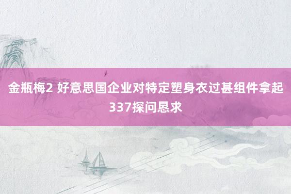 金瓶梅2 好意思国企业对特定塑身衣过甚组件拿起337探问恳求