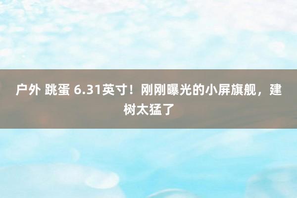 户外 跳蛋 6.31英寸！刚刚曝光的小屏旗舰，建树太猛了