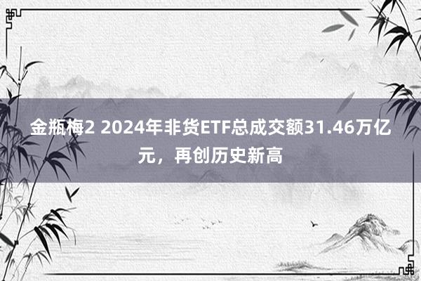 金瓶梅2 2024年非货ETF总成交额31.46万亿元，再创历史新高