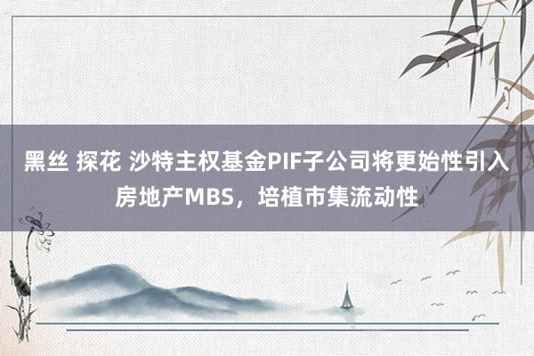 黑丝 探花 沙特主权基金PIF子公司将更始性引入房地产MBS，培植市集流动性