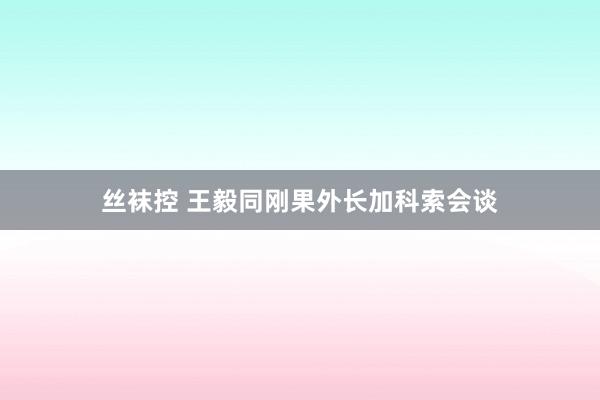 丝袜控 王毅同刚果外长加科索会谈