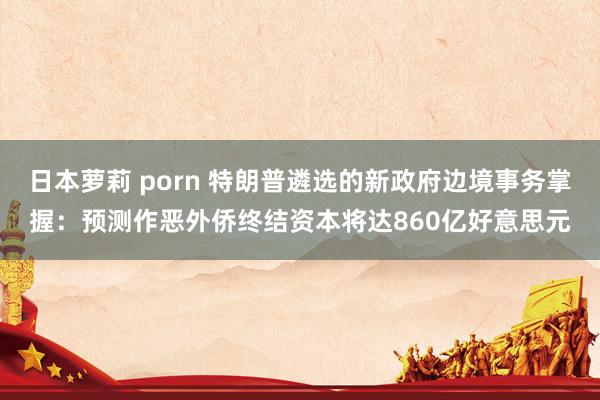 日本萝莉 porn 特朗普遴选的新政府边境事务掌握：预测作恶外侨终结资本将达860亿好意思元