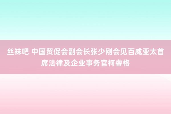 丝袜吧 中国贸促会副会长张少刚会见百威亚太首席法律及企业事务官柯睿格