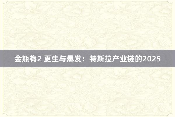 金瓶梅2 更生与爆发：特斯拉产业链的2025