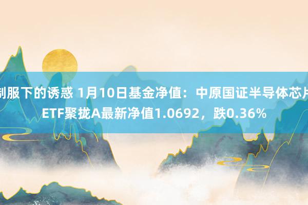 制服下的诱惑 1月10日基金净值：中原国证半导体芯片ETF聚拢A最新净值1.0692，跌0.36%