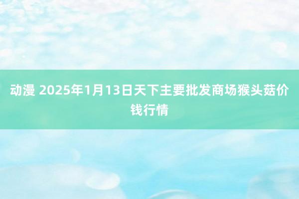 动漫 2025年1月13日天下主要批发商场猴头菇价钱行情