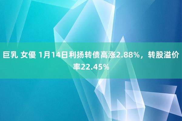 巨乳 女優 1月14日利扬转债高涨2.88%，转股溢价率22.45%