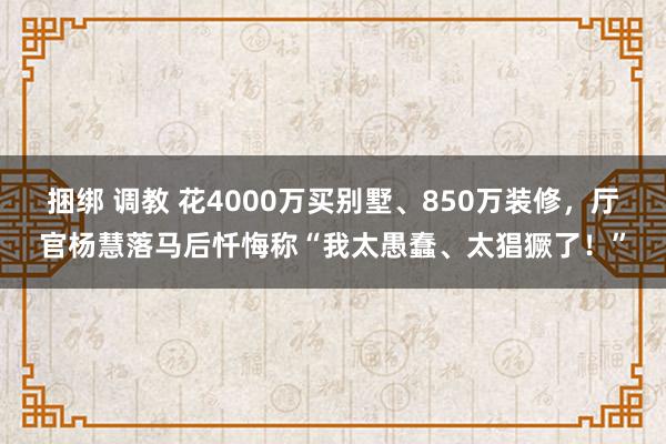 捆绑 调教 花4000万买别墅、850万装修，厅官杨慧落马后忏悔称“我太愚蠢、太猖獗了！”