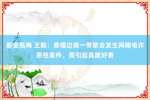 新金瓶梅 王毅：泰缅边境一带聚会发生网赌电诈恶性案件，需引起高度好奇