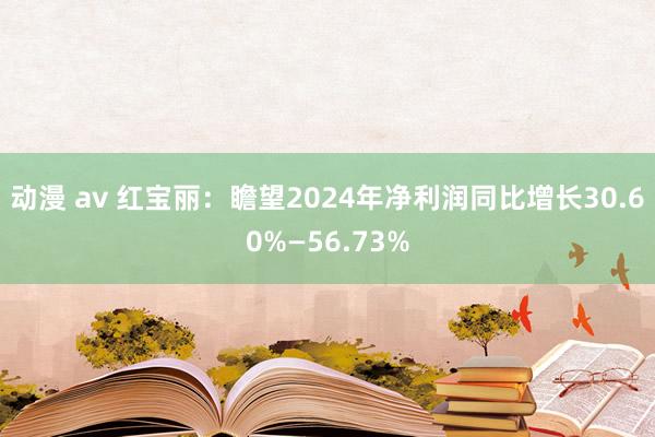 动漫 av 红宝丽：瞻望2024年净利润同比增长30.60%—56.73%