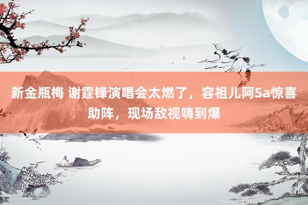 新金瓶梅 谢霆锋演唱会太燃了，容祖儿阿Sa惊喜助阵，现场敌视嗨到爆